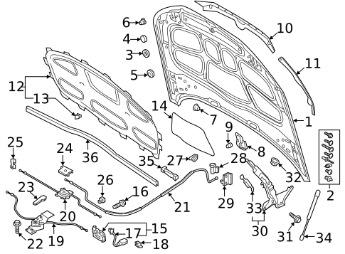 Hood & Components for 2021 Audi RS5 #0