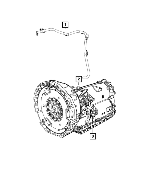 Case, Extension, Oil Pan, and Indicator (Dipstick) for 2013 Dodge Charger #3