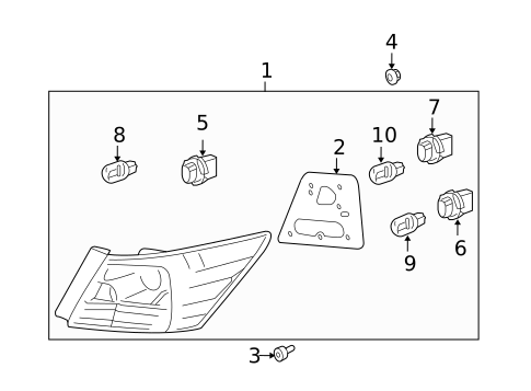 Bulbs - Chassis for 2008 Honda Accord #1