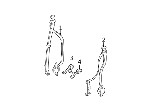 Seat Belt for 2002 Toyota Tacoma #1