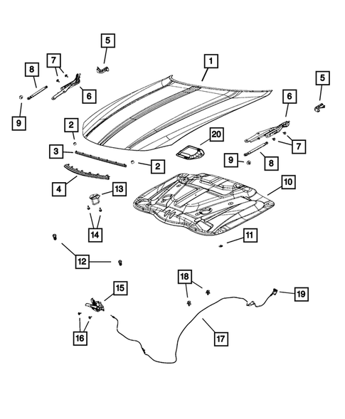 Hood and Hood Release for 2022 Dodge Charger #1