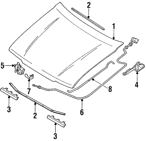 Hood & Components for 1993 Mazda 323 #0