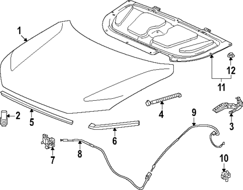 Hood & Components for 2025 Honda CR-V #0