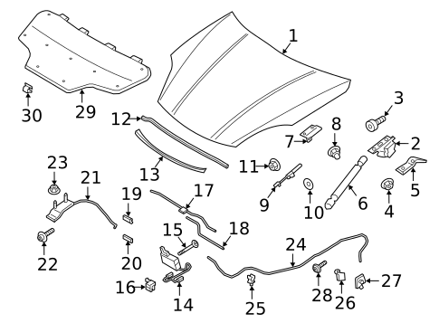 Hood & Components for 2019 Porsche Cayenne #0