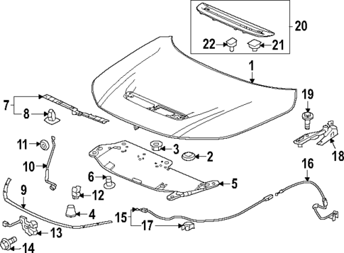 Hood & Components for 2024 Honda Civic #0