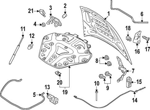 Hood & Components for 2025 Porsche Panamera #0
