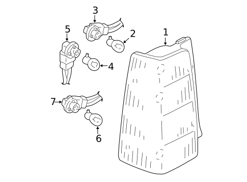 Bulbs - Chassis for 2002 Ford Escape #0