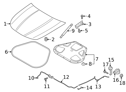 Hood & Components for 2020 Kia K900 #0