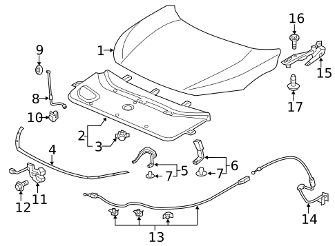 Hood & Components for 2017 Honda Civic #0