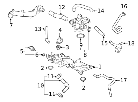 Hoses & Pipes for 2024 Subaru Forester #0