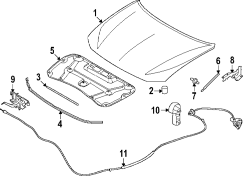 Hood & Components for 2025 INFINITI QX80 #0
