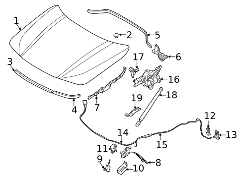 Hood & Components for 2021 BMW X2 #0