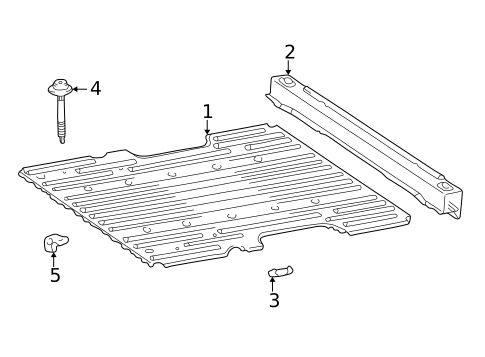 Floor - Pick UP Box for 2006 Toyota Tundra #1