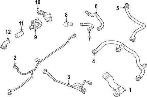 Hoses & Lines for 2024 Audi RS7 Sportback #1
