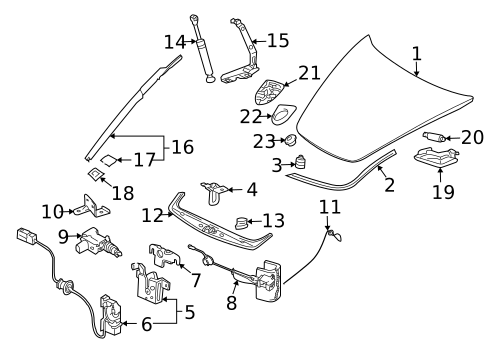 Exterior Trim - Hood for 2005 Porsche 911 #1