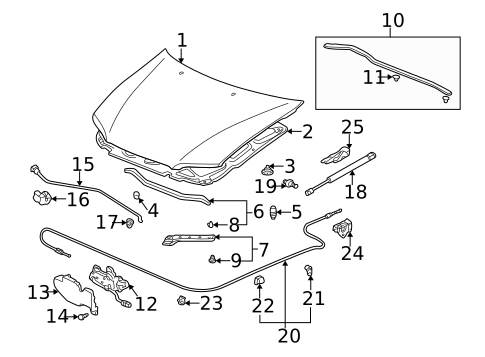 Hood & Components for 1999 Honda Accord #0