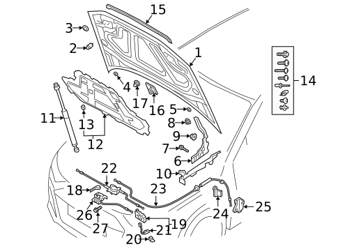 Hood & Components for 2025 Audi Q3 #0