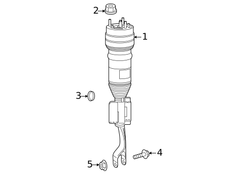 Struts & Components for 2025 Mercedes-Benz S 63 AMG® E Performance #0