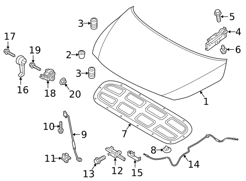 Hood & Components for 2018 Kia Sedona #0