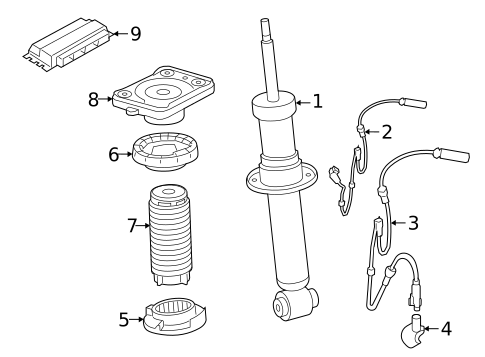Struts & Components for 2024 BMW X6 #1