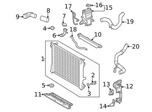 Radiator & Components for 2025 Lexus NX350h #1