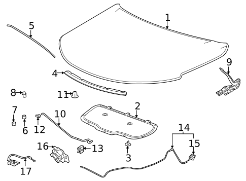 Hood & Components for 2024 Chevrolet Trailblazer #0