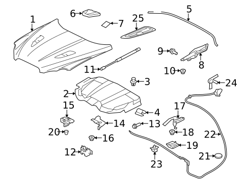 Hood & Components for 2015 Jaguar XFR-S #0