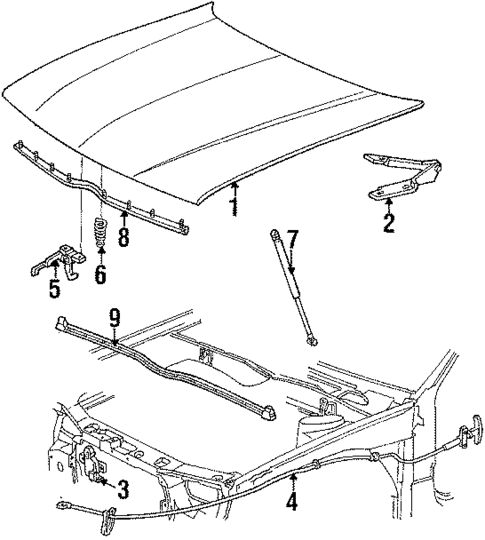 Hood & Components for 1986 Ford Taurus #0