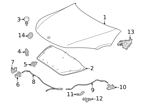 Hood & Components for 2025 Mercedes-Benz EQE AMG #2