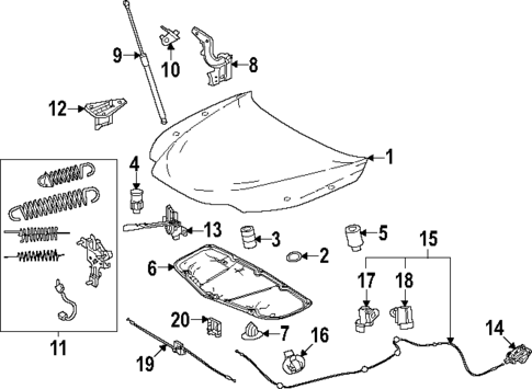 Hood & Components for 2025 Lexus NX350h #0
