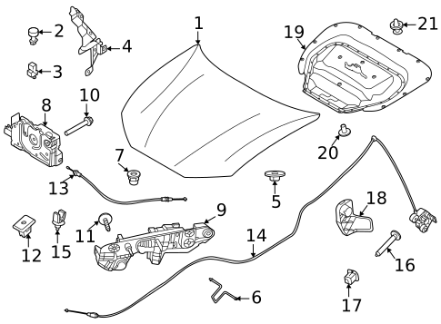 Hood & Components for 2021 Ford Mustang Mach-E #0