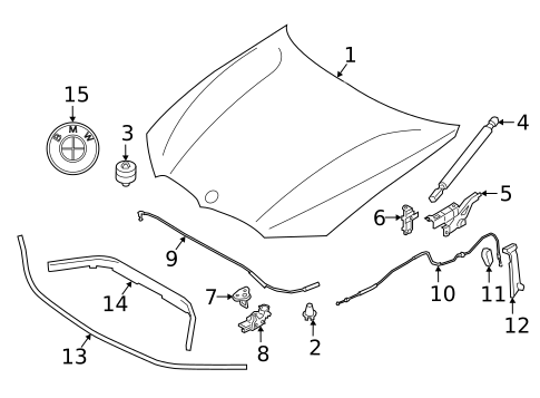 Hood & Components for 2025 BMW 330i #0