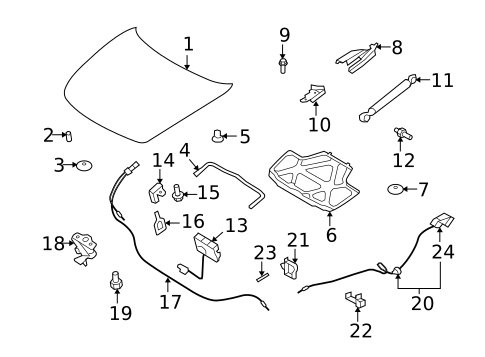 Hood & Components for 2010 INFINITI G37 #1