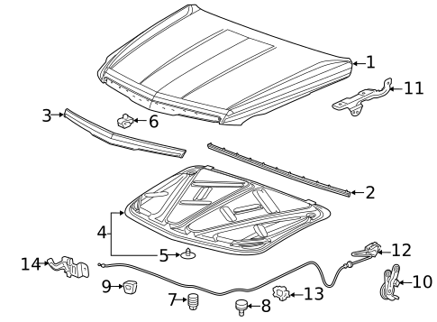 Hood & Components for 2017 Cadillac Escalade #0