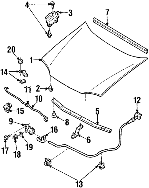 Hood & Components for 1999 Mercury Tracer #0
