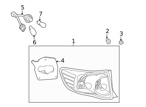 Bulbs - Chassis for 2010 Toyota Corolla #4