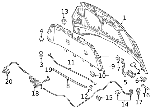Hood & Components for 2017 Ford Focus #0