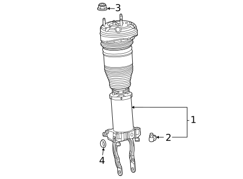 Struts & Components for 2021 Mercedes-Benz GLE 53 AMG® SUV #0