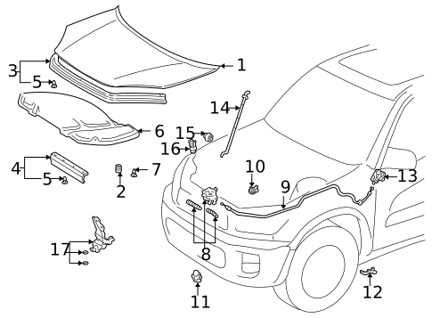 Hood & Components for 2005 Toyota RAV4 #1