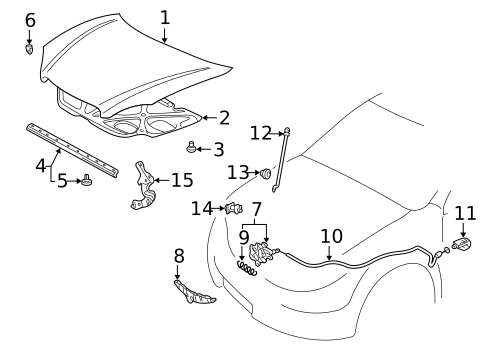 Hood & Components for 2006 Toyota Matrix #0