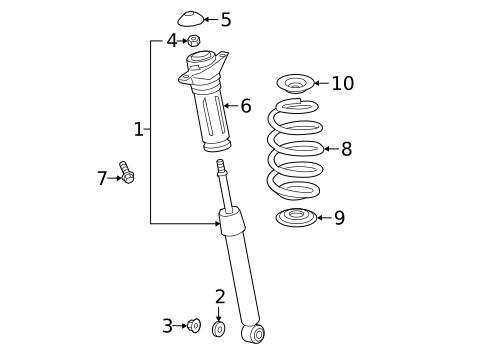 Struts & Components for 2025 Lexus ES300h #1