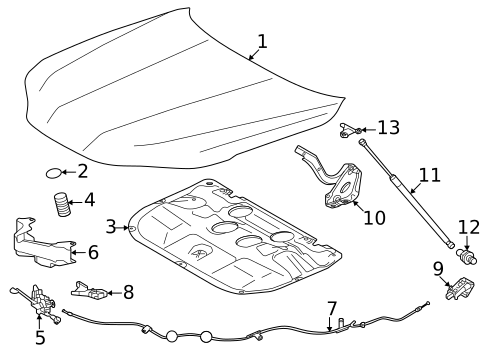 Hood & Components for 2023 Lexus LX600 #0