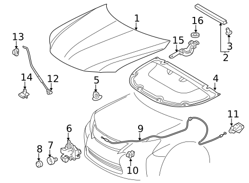 Hood & Components for 2016 Lexus CT200h #0