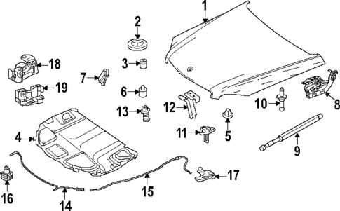 Hood & Components for 2021 Mercedes-Benz GLC43 AMG #1
