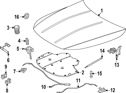 Hood & Components for 2025 Mercedes-Benz CLE300 #0
