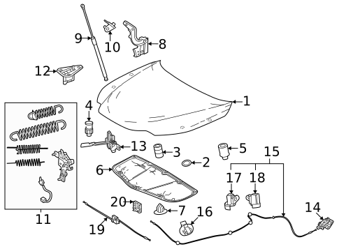 Hood & Components for 2022 Lexus NX350h #0