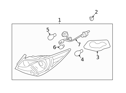Bulbs - Chassis for 2012 Hyundai Sonata #1
