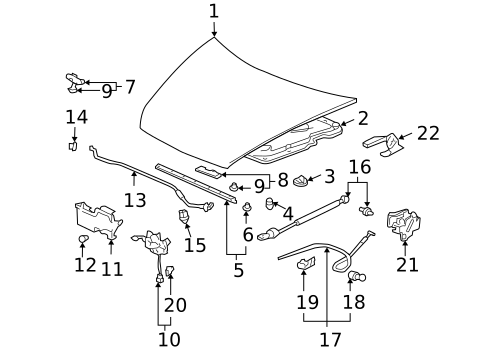 Hood & Components for 2005 Honda Accord #0