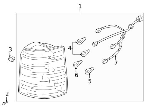 Bulbs - Chassis for 2005 Kia Sedona #1
