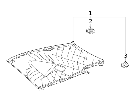 Interior Trim - Quarter Panels for 2024 Lexus NX350h #3